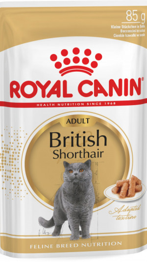Royal Canin BRITISH SHORT AD 85g